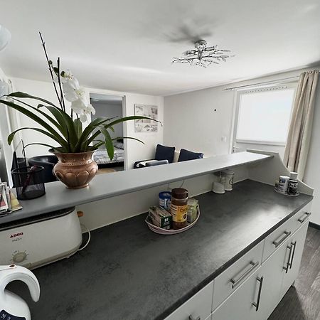 Appartement Detox Au Pied Du Semnoz Сейно Екстериор снимка