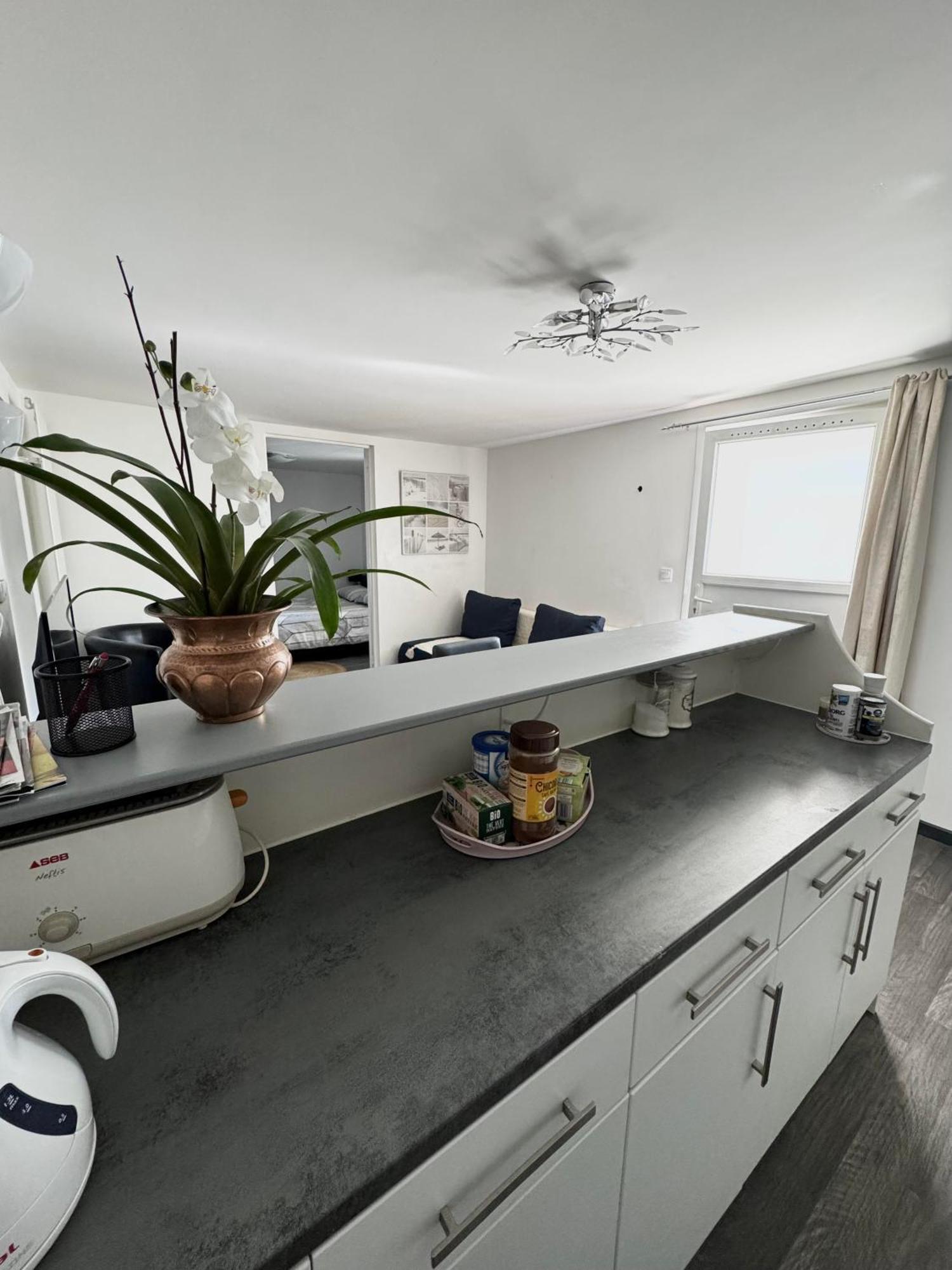 Appartement Detox Au Pied Du Semnoz Сейно Екстериор снимка